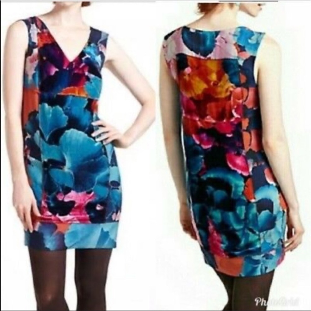 Leifsdottir Night Peony Dress Anthropologie SZ 6